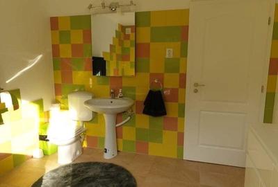 Apartament cu 3 camere decomandat în Central - 5