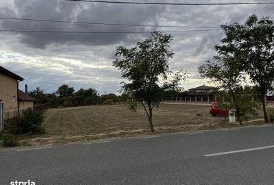 Teren de 1080 mp, în Zimandu Nou