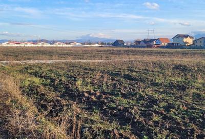 Vindem 36 de parcele cu P.U.Z in Halchiu - 4