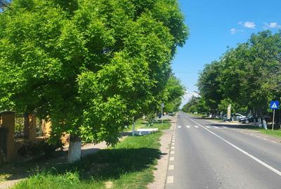 Casă cu 4 camere în Băneasa - 6