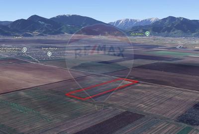 Teren extravilan de vanzare - 6.500 mp, Harman,  Brasov - 2