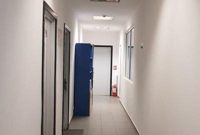 Spatiu productie Bartolomeu - 9