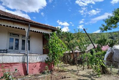 Casă cu 4 camere cu Teren 2368 Mp în Blăjani - 5