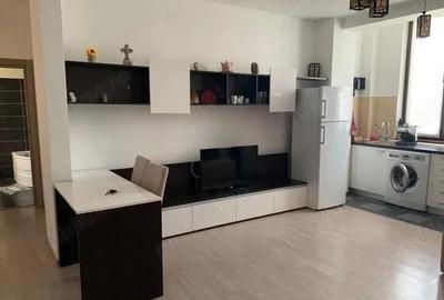 Apartament cu 2 camere semidecomandat în Palazu Mare - 4
