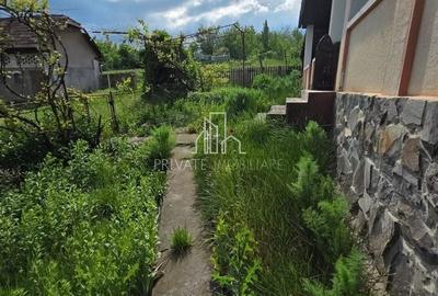 Casă cu 3 camere cu Teren 1192 Mp în Criș - 8