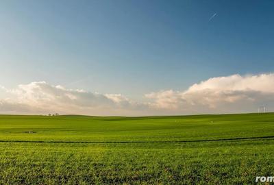 53,3 hectare teren agricol acces direct la DN709C loca?ie buna - 1