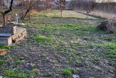 Casă cu 5 camere în Ineu - 3