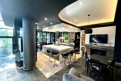 Inchiriere vila premium 455 mp, (rezidential/comercial)-Carrefour Colentina! - 3