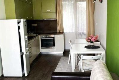 De inchiriat garsoniera in zona Buziasului - 2