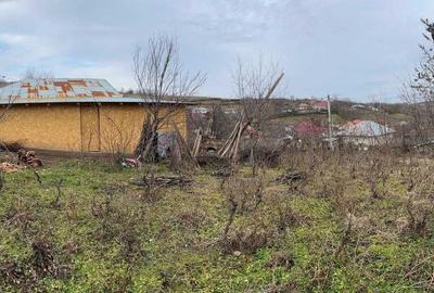 Casă cu 2 camere în Bursuci - 12