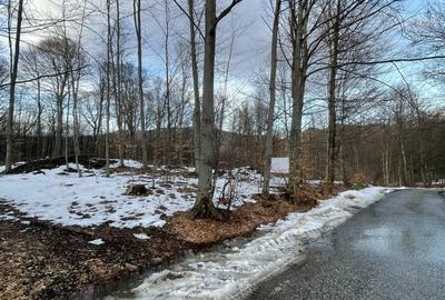 Teren de 3025 mp, în Central - 1