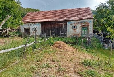 Teren de 50 mp, în Central - 3