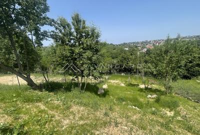 Casa individuala cu vedere panoramica - Armonie intre natura si confort, Feleacu Casa individuala cu vedere panoramica - Armonie intre natura si confort, Feleacu - 9