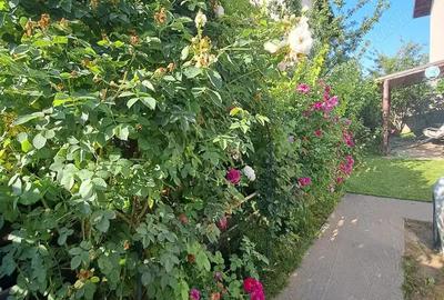 Casa de inchiriat Domnesti - 7