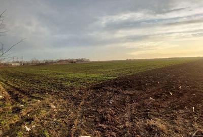 Teren Frumusani stradal Teren Frumusani stradal - 3