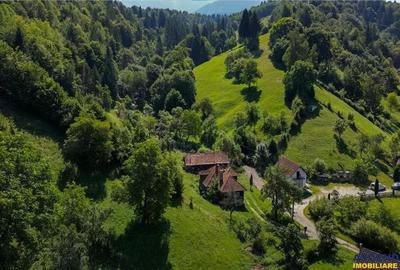 FILM! Casa traditionala pe domeniu de 4.300mp teren, Bran - Simon, Brasov - 12