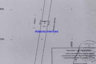 Teren constructie hale - 6