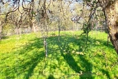 Casă individuală cu 5 camere cu Teren 800 Mp în Ardeova - 24