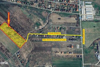 Spațiu comercial, în Moșnița Nouă