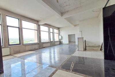 Spatiu comercial suprafete intre 130-87-217 mp zona Plevnei - 16