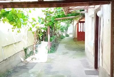 Casă în Fratelia - 5