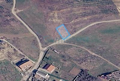 Teren Construcții intravilan de 672 mp, în Paleu - 2