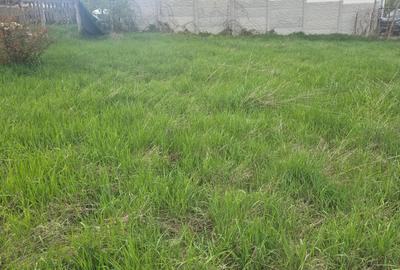 Teren Construcții intravilan de 400 mp, în Zăvoi - 6