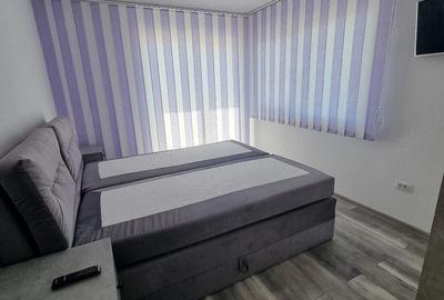 Apartament cu 2 camere decomandat în Giarmata - 4