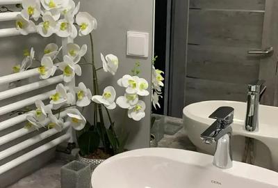 Vand la cheie, apartament studio modificat - 1