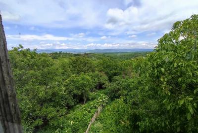 Casă individuală cu 5 camere cu Teren 2000 Mp în Central - 3