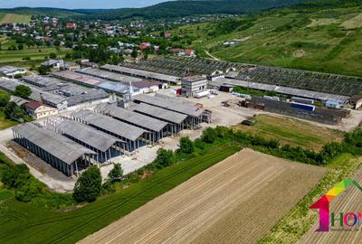 Teren 100.000 mp + Spatii Industriale Bacau - 18