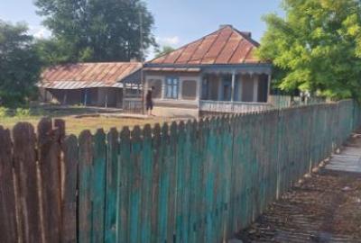 Casa bătrânesca. - 5