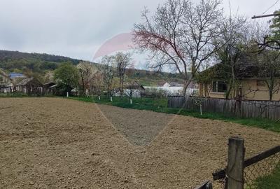 Casă cu 3 camere cu Teren 1361 Mp în Gârdani - 16