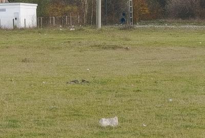 Teren Intravilan 700 mp  Bartolomeu - 1