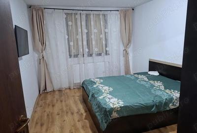 Casa de inchiriat Domnesti - 1