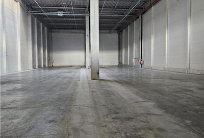 Spațiu comercial, de 2,500 mp, în Florești - 13