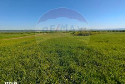 Teren de 1668 mp, în Gura Râului - 9