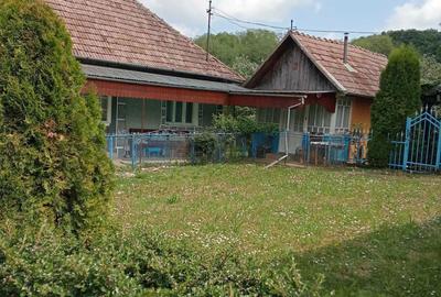 Casă cu 2 camere în Pălatca - 3