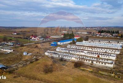 Spațiu comercial, în Bogdănești - 6