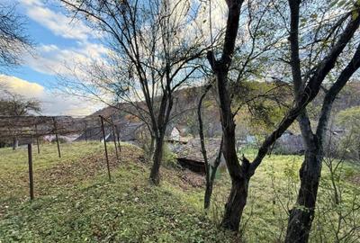 Casa 3 camere + teren 912mp zona Caraiman - 29