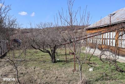 Casă cu 2 camere în Soci - 4