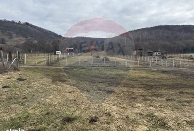 Spațiu comercial, în Tăuți - 14