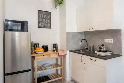 Garsonieră în Calea Victoriei - 3