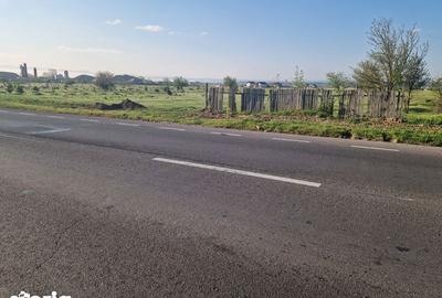 Teren de 700 mp, în Șimian - 4