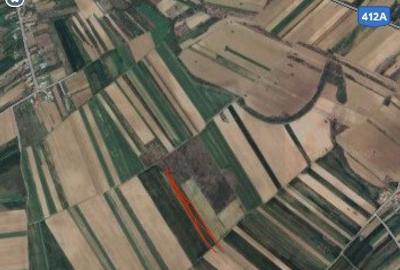 Teren extravilan Zorile Giurgiu 5000mp - 4