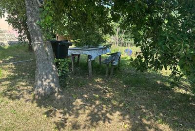 Casă individuală cu 3 camere cu Teren 5700 Mp în Pădureni (Grajduri) - 3