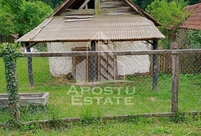 Casa bătrânească de vânzare | 4 camere | Hunedoara | Micănești - 29