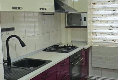Apartament cu 2 camere decomandat în Paltin - 1