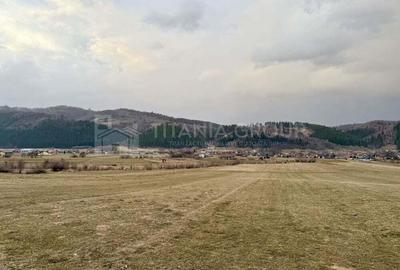 Teren intravilan, 2548 mp, cu priveli?te superba - Zarne?ti - 1