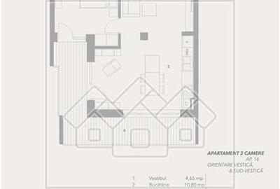 Apartament cu 2 camere nedecomandat în Turnișor - 10